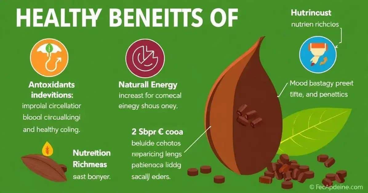Benefícios do Cacau na Bebida Energética