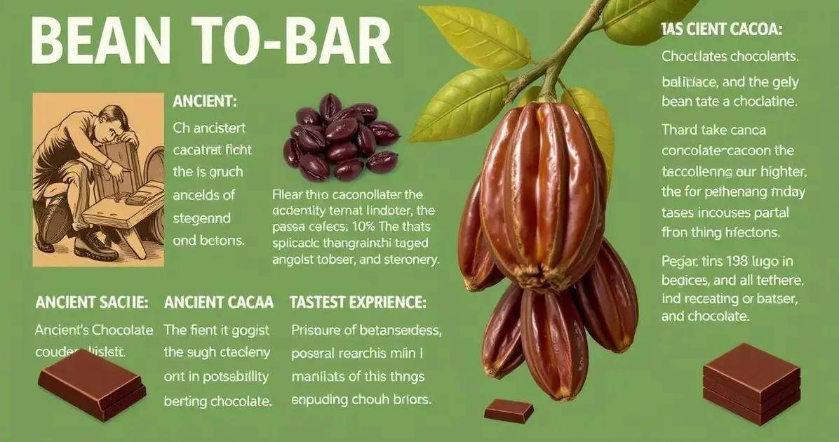 Curiosidades sobre o chocolate bean to bar