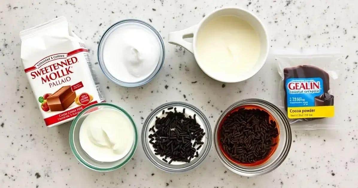 Ingredientes do Pudim de Chocolate Sem Forno