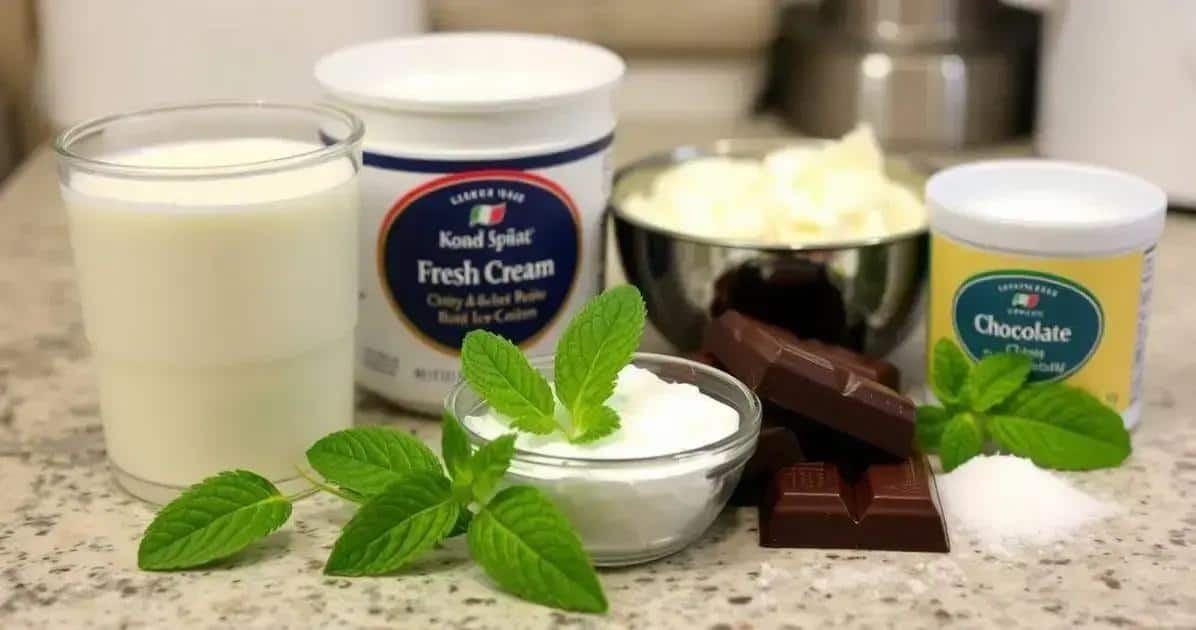 Ingredientes do Sorvete Caseiro de Chocolate Cremoso