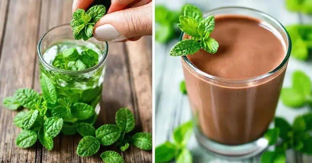 Benefícios da Hortelã na Bebida Benefícios da Hortelã na Bebida