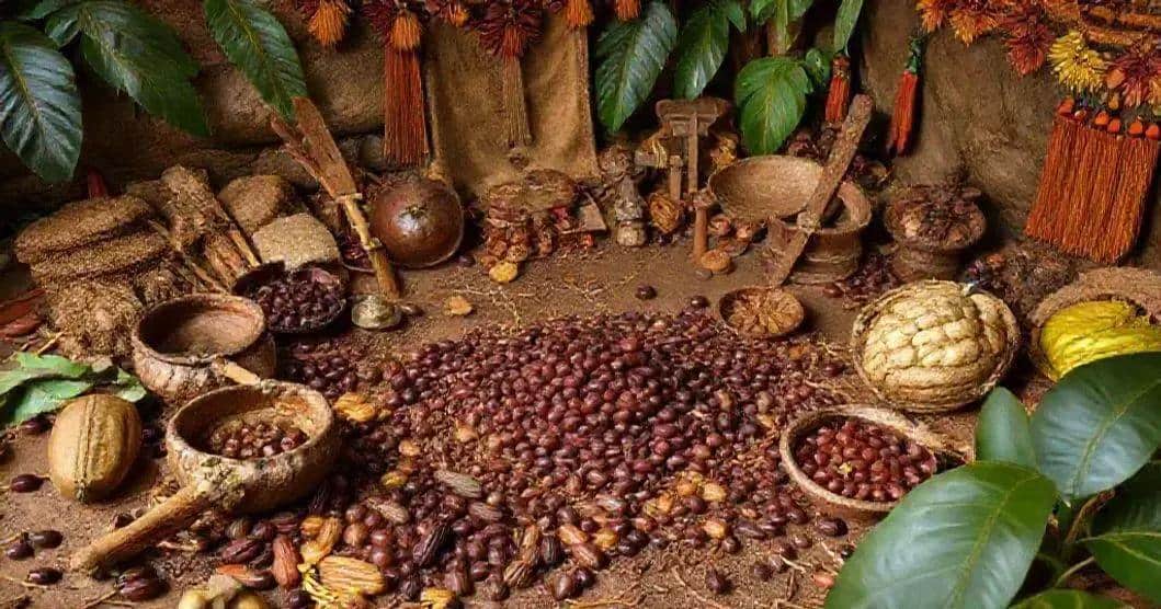 Curiosidades sobre o cacau na história Curiosidades sobre o cacau na história